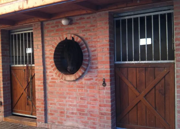 Berenyi Fogado Motel 3*